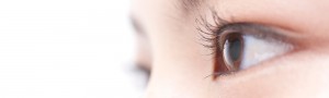 eyelash_img002